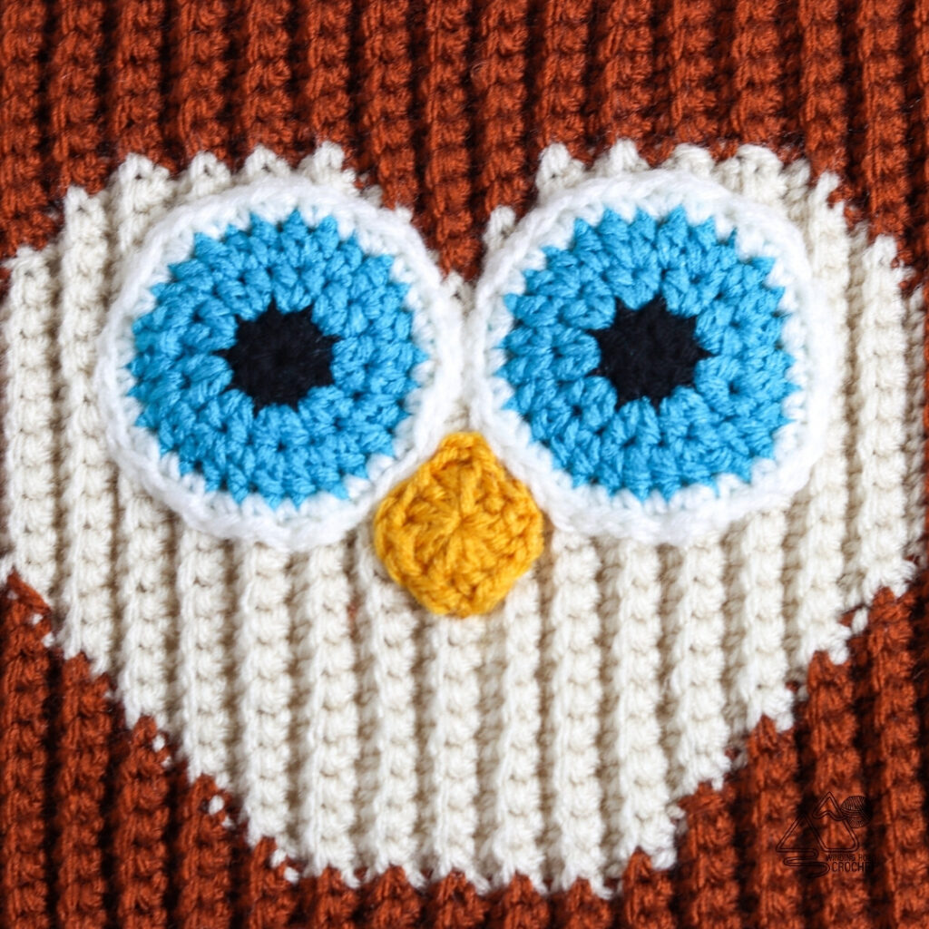 Crochet Owl Pumpkin Free Crochet Pattern - Winding Road Crochet